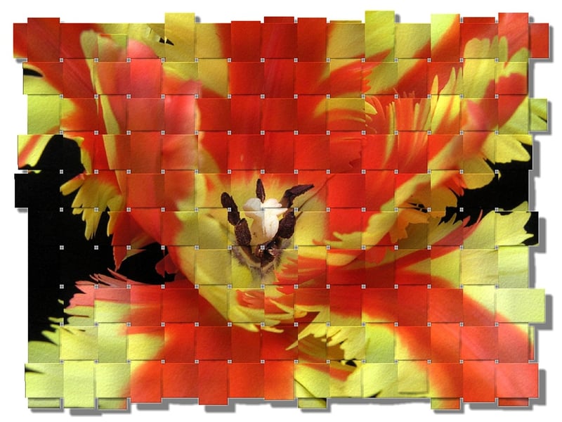 Texture Manipulation